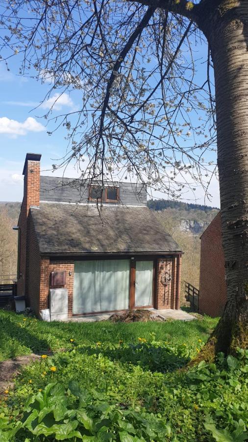 La Cabane D'Helie - Cottage En Pleine Foret - Domaine Du Bonsoy Hastiere-par-dela Dış mekan fotoğraf
